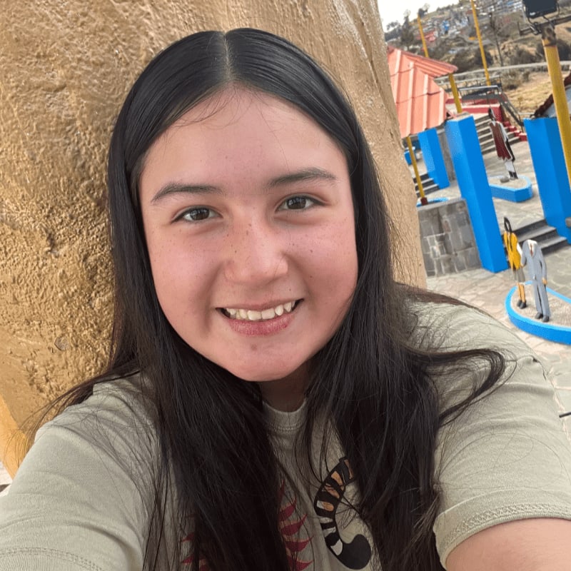 A young girl with long dark hair smiles at the camera, with a textured, light brown wall in the foreground and a colorful amusement park in the background.