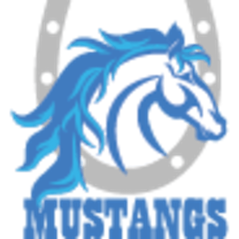A blue mustang horse with a flowing mane is superimposed on a grey horseshoe, with the word "MUSTANGS" in blue lettering below.