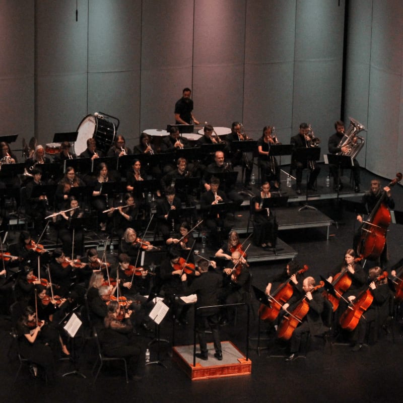 Musicians in formal attire play instruments on a stage in front of a gray, textured backdrop.