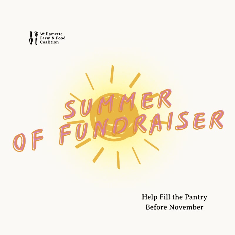 A bright yellow sun with radiating lines is behind the words "SUMMER OF FUNDRAISER" in pink and orange, with the Willamette Farm & Food Coalition logo in the upper left and "Help Fill the Pantry Before November" in the lower right.