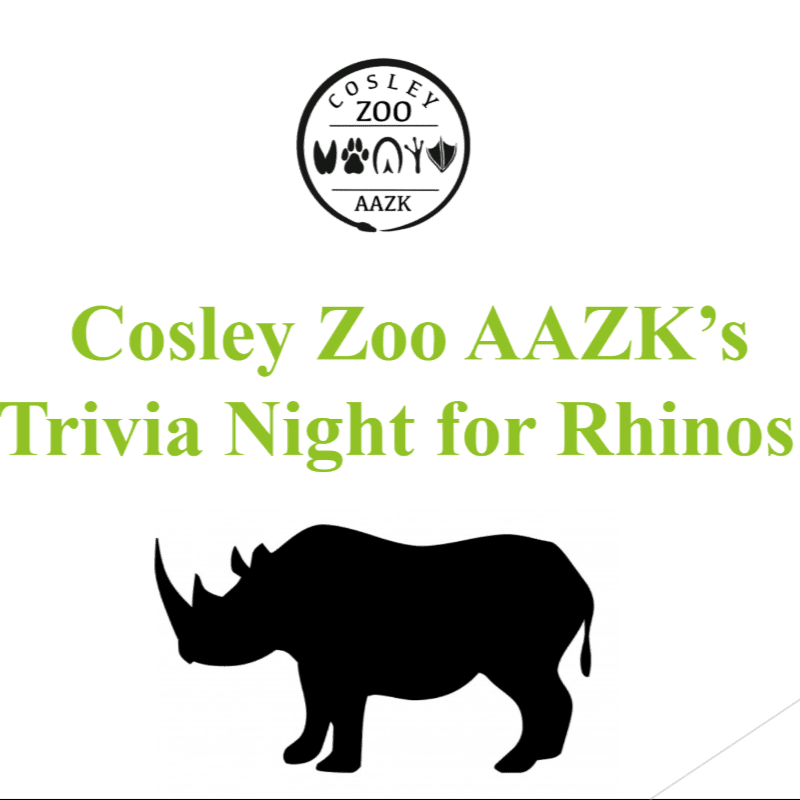 A black silhouette of a rhinoceros stands in the foreground against a white background, with the text "Cosley Zoo AAZK's Trivia Night for Rhinos" and the zoo's logo above it.