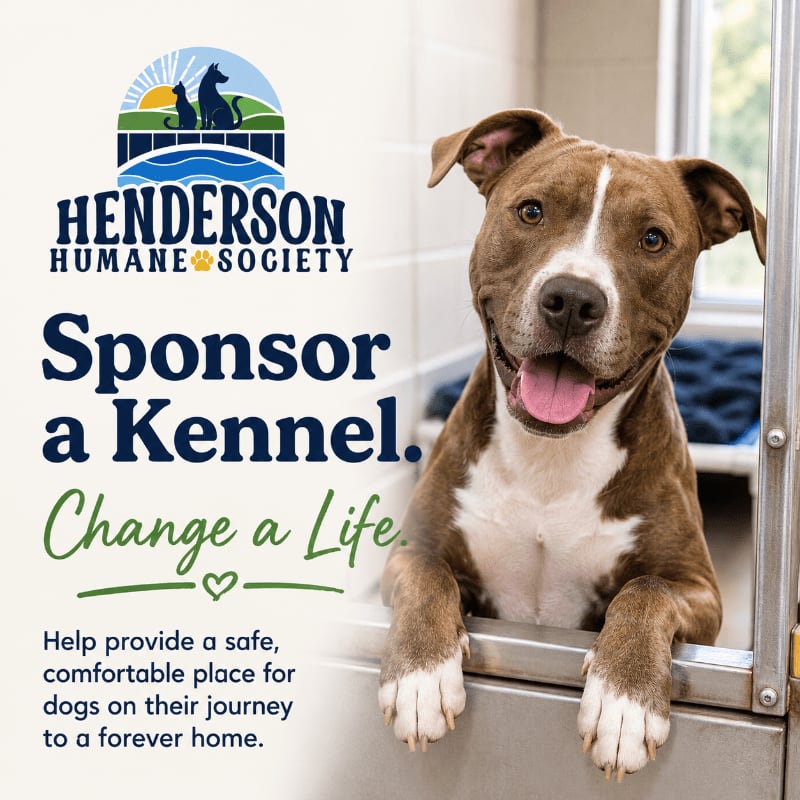 A happy brown and white dog with its paws on a metal gate looks out from a kennel, with the Henderson Humane Society logo and sponsorship text on the left.