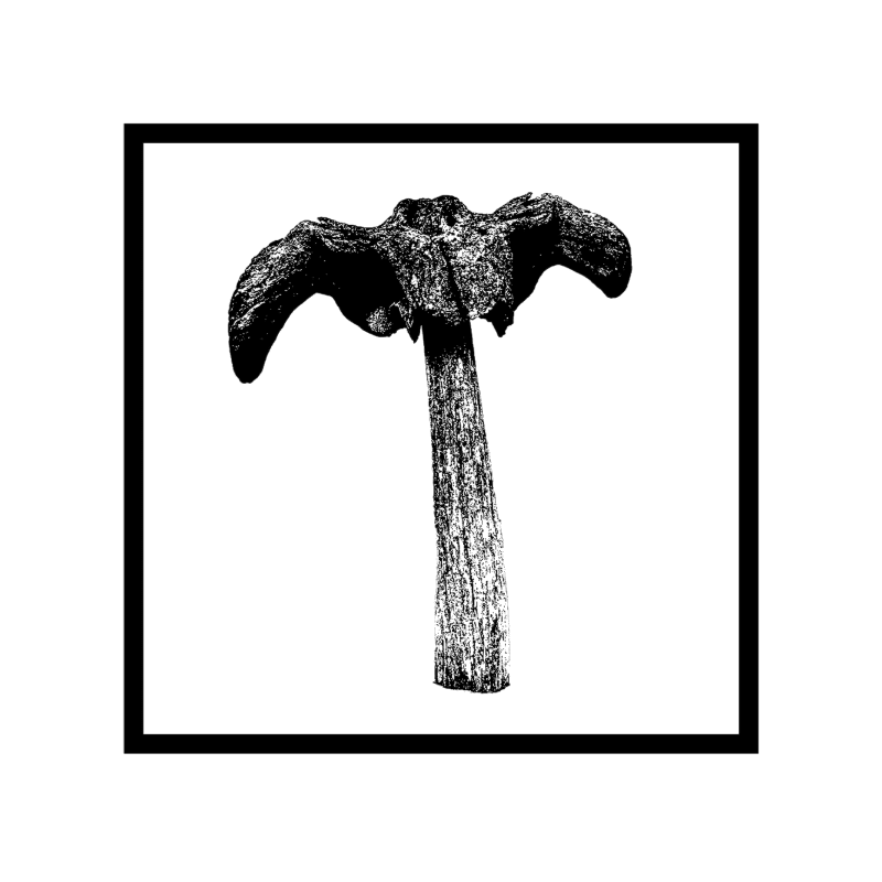 A dark, textured object resembling a stylized T-shape with outstretched arms is centered against a stark white background within a thick black border.