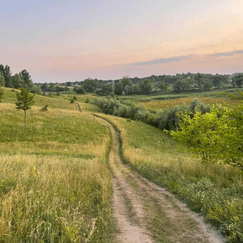 A dirt path winds through a grassy field in the foreground, leading towards a tree-lined horizon under a pale sky.