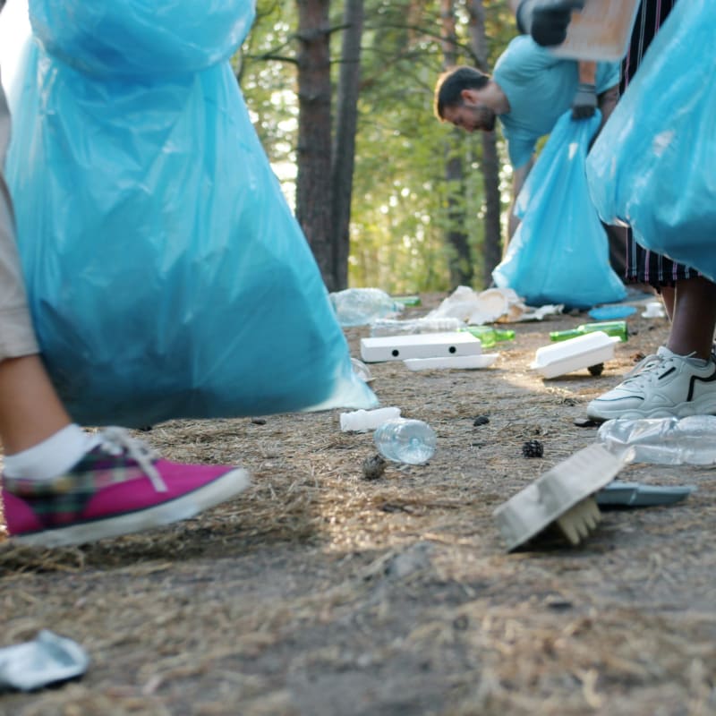 People cleaning up litter in a forest with blue bags