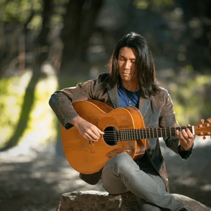 A man with long dark hair plays an acoustic guitar while sitting on a rock in a sun-dappled forest.