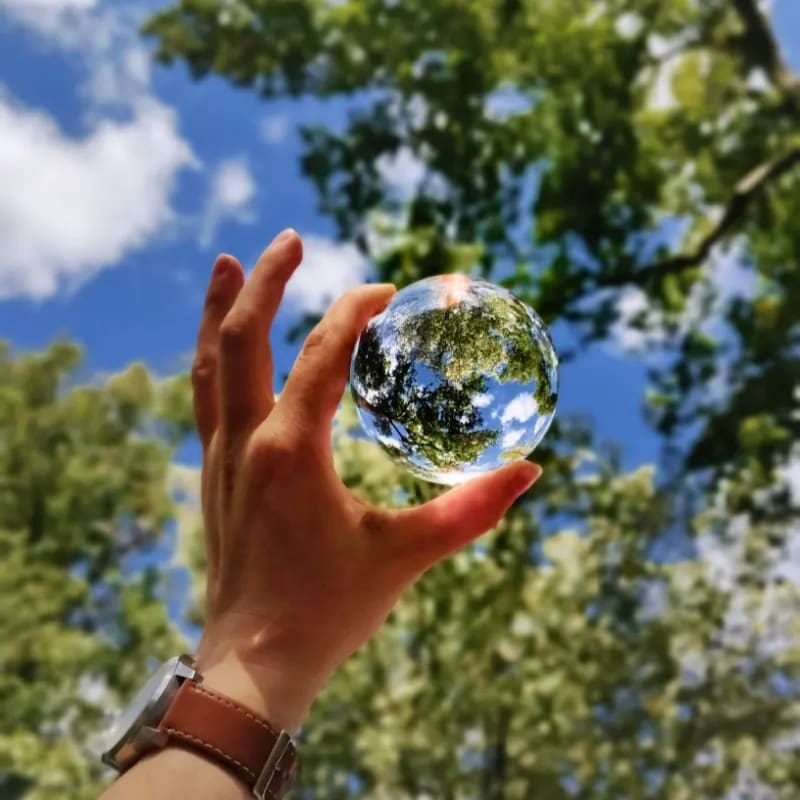 A hand holds a crystal ball reflecting trees and sky, with lush green foliage and blue sky in the background.