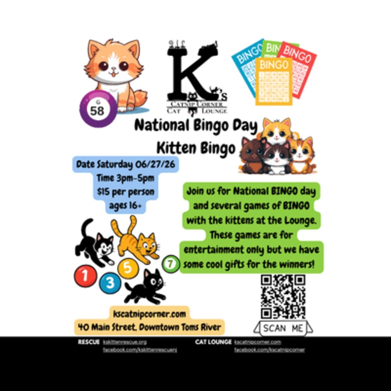 A fluffy orange kitten sits next to a large "K" logo and bingo cards, while a group of kittens and cartoon cats playing bingo are featured in the background.