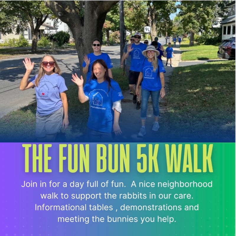 A group of people in blue shirts wave as they walk down a sidewalk in a neighborhood, with text overlaying the bottom of the image promoting "THE FUN BUN 5K WALK."