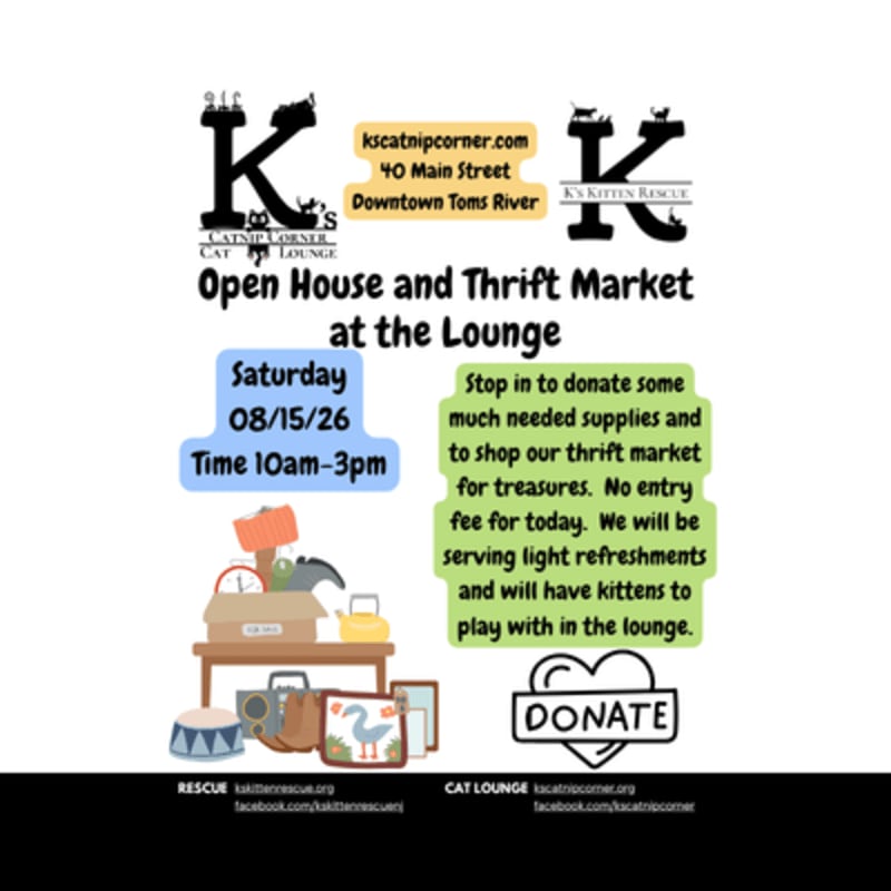 A flyer advertises an open house and thrift market at a cat lounge, featuring a drawing of donated items in the foreground and event details against a white background.