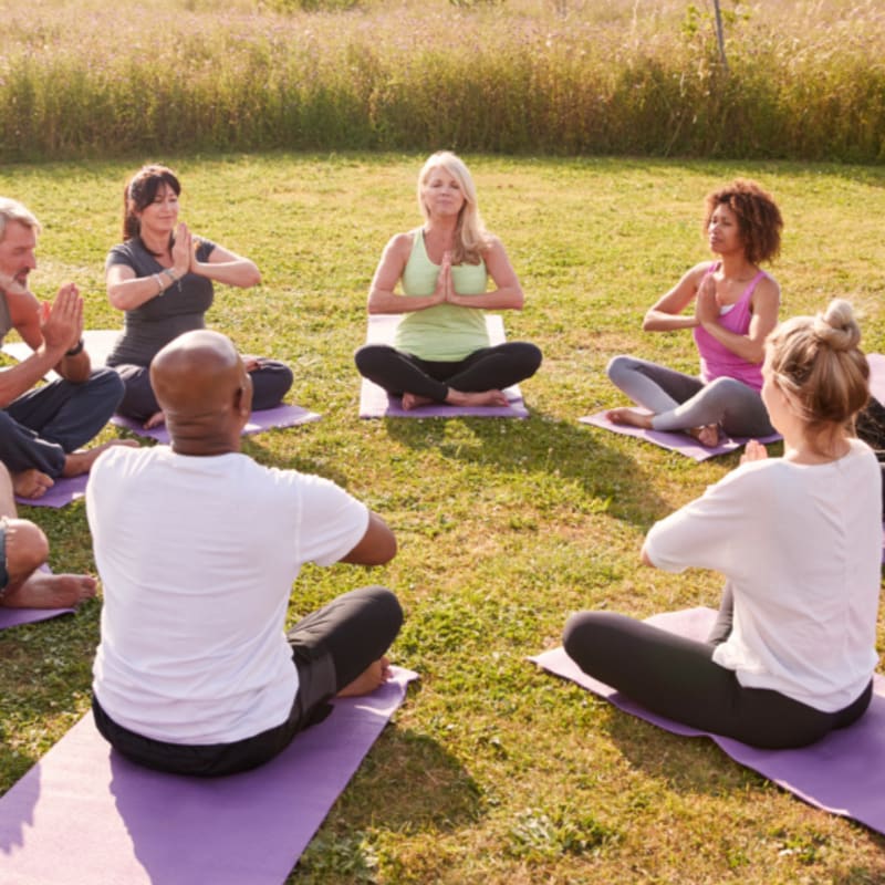 A group of people practice yoga in a circle on purple mats in a grassy field with trees in the background.