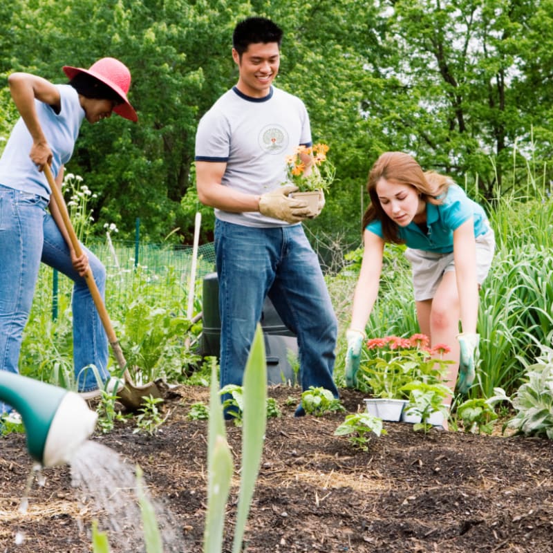 Three people are gardening in a lush green backyard, with one person digging, another planting flowers, and a third watering new plants.