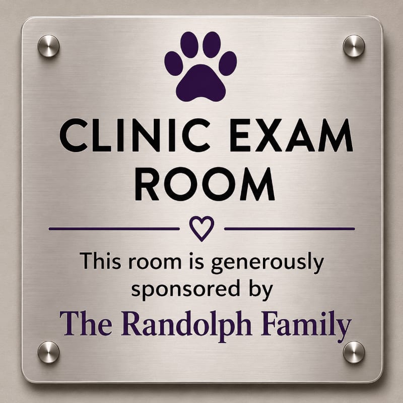 A brushed metal plaque with a paw print and text indicating a clinic exam room sponsored by The Randolph Family is mounted on a textured wall.
