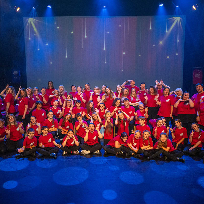 A large group of performers in red shirts are posing on a stage with a blue, sparkly backdrop.