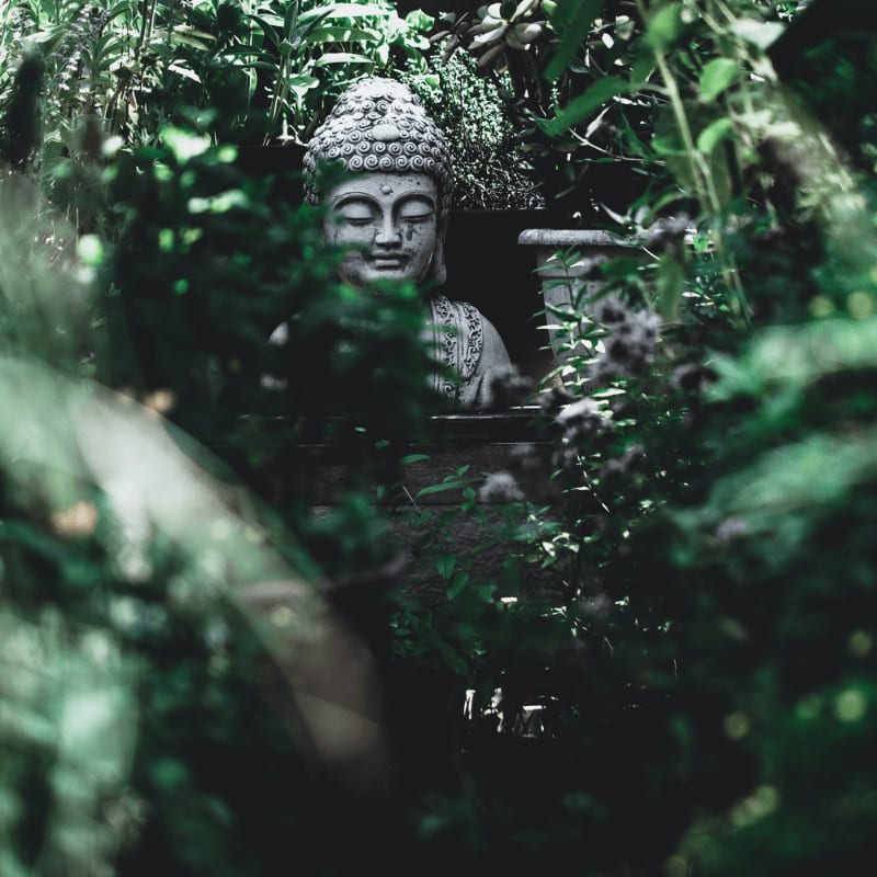 Buddha statue surrounded by green trees