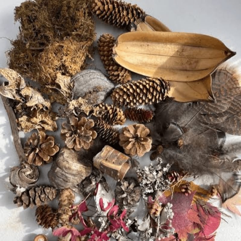 A collection of natural autumn elements like pinecones, feathers, and dried leaves are scattered across a white surface.