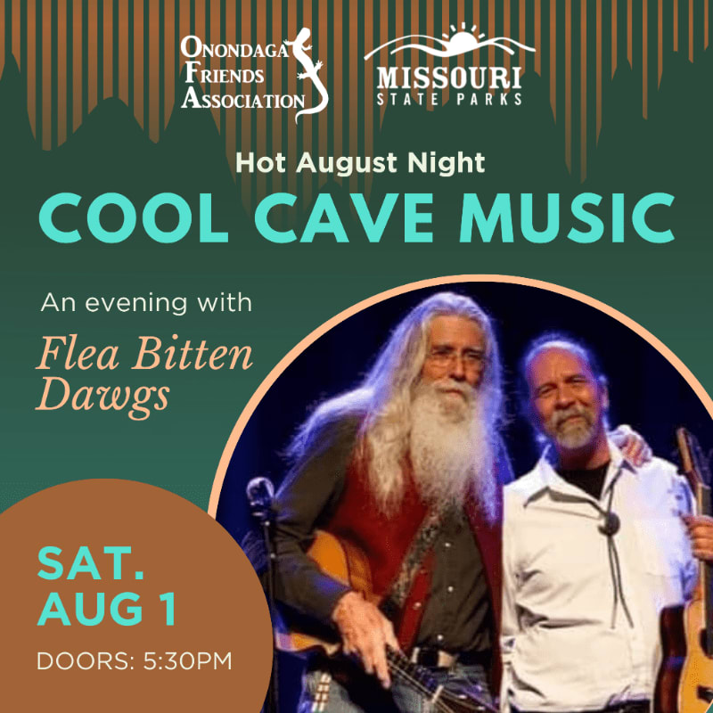 Two bearded musicians stand on a stage in front of a dark curtain, with event details for "Cool Cave Music" and "Flea Bitten Dawgs" overlaid on a background of stylized green mountains and a brown striped pattern.