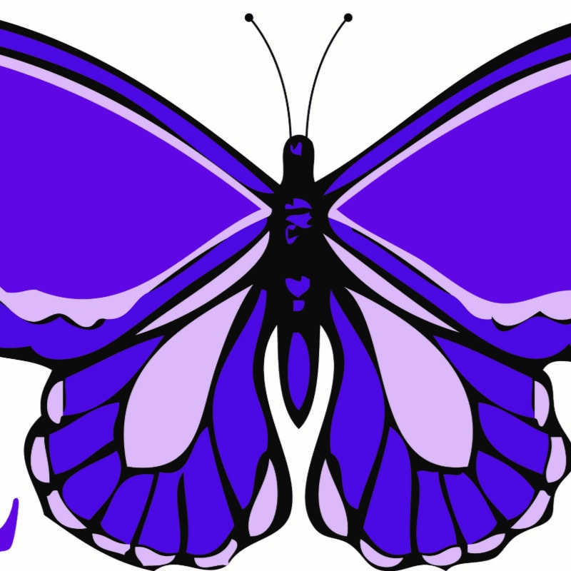 A vibrant purple butterfly with intricate wing patterns is centered against a stark white background.