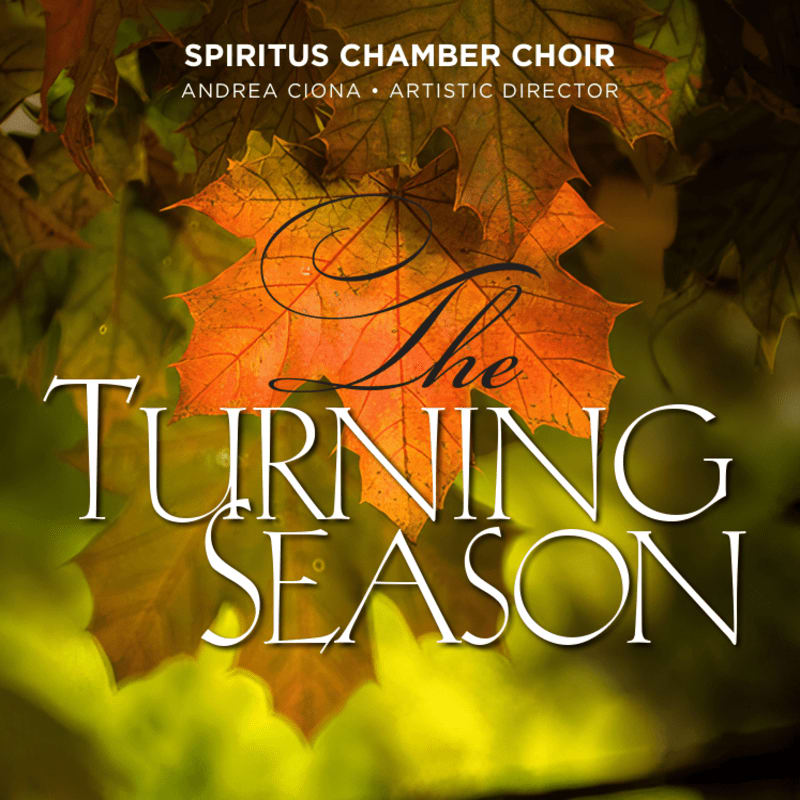 Autumn leaves in vibrant oranges and greens form the backdrop for the title "The Turning Season" in elegant white lettering.