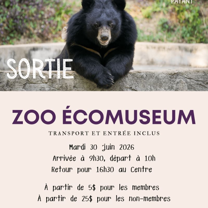 A black bear sits on a stone ledge in the foreground, with text advertising a zoo trip in the background.