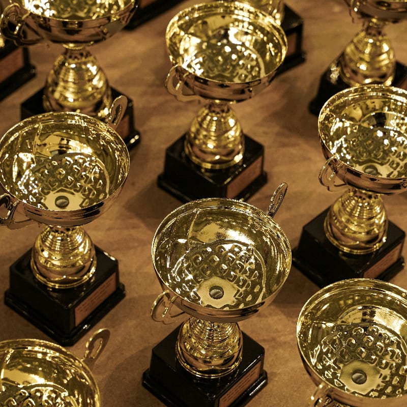 a bunch of trophies sitting on top of a table