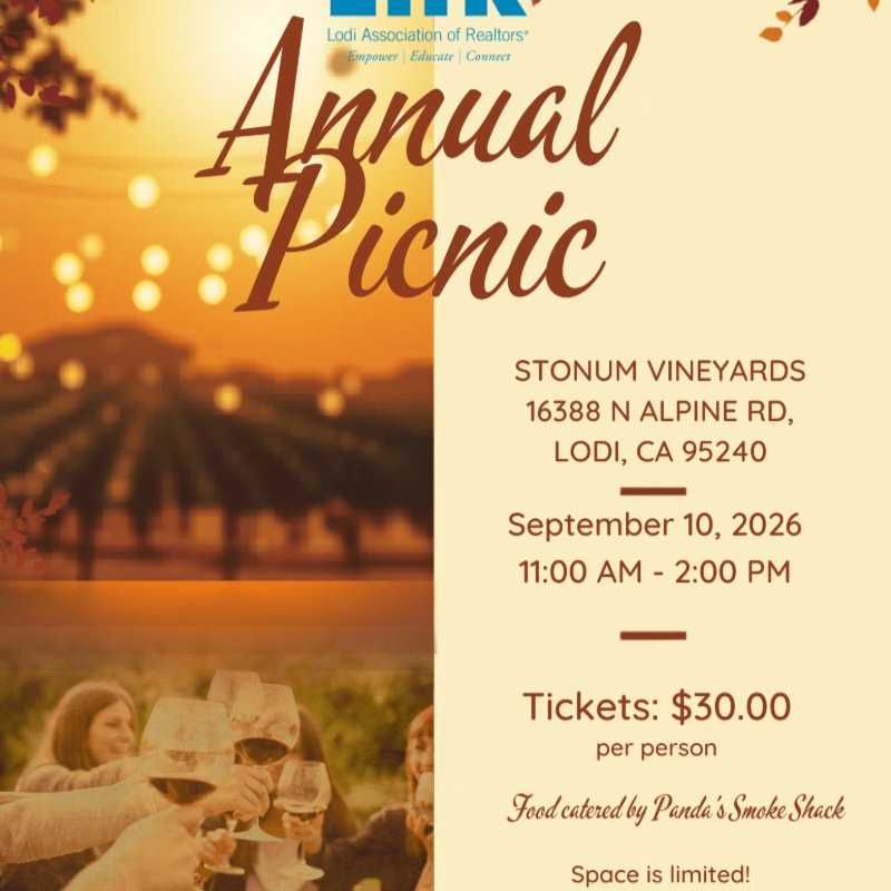 A group of people clinking glasses in the foreground celebrates an annual picnic at Stunum Vineyards, with a vineyard landscape and string lights in the background.