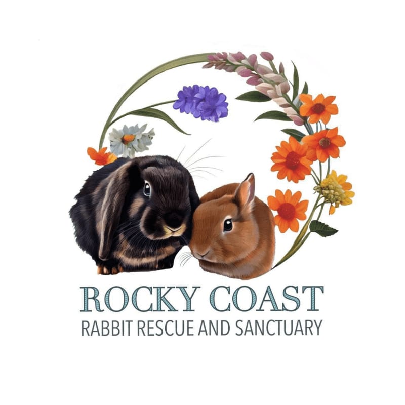 Two adorable rabbits, one dark brown and fluffy, the other a lighter brown, are nestled together within a circular arrangement of colorful wildflowers and greenery, with the text "ROCKY COAST RABBIT RESCUE AND SANCTUARY" below.