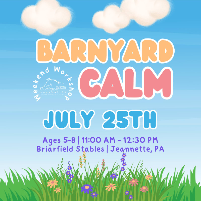A vibrant green meadow with colorful wildflowers in the foreground is set against a bright blue sky with fluffy white clouds, advertising a "Barnyard Calm" event on July 25th.