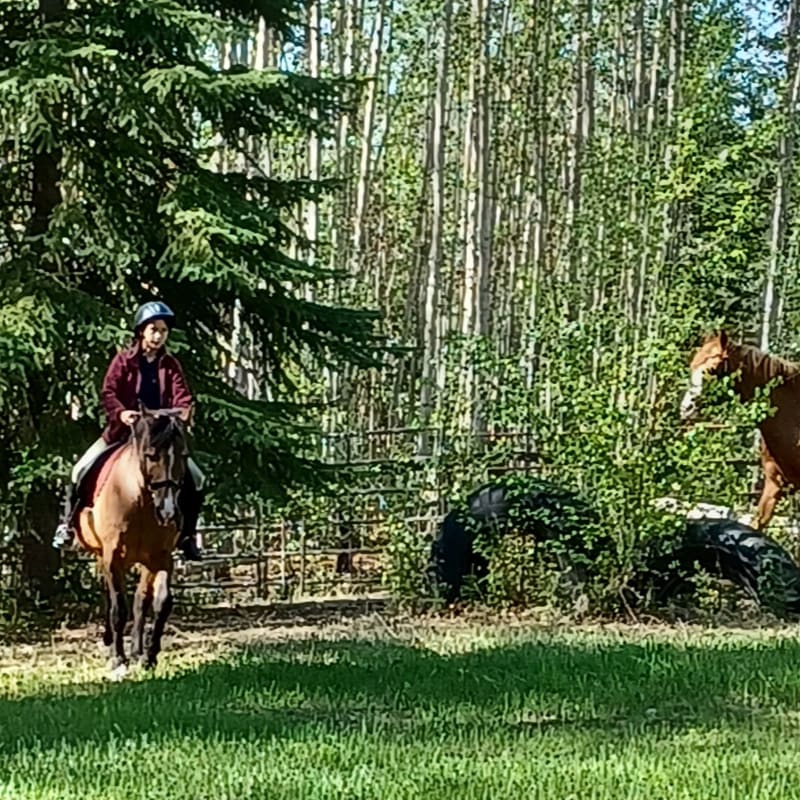A person rides a horse through a grassy field with a dense forest and another horse in the background.