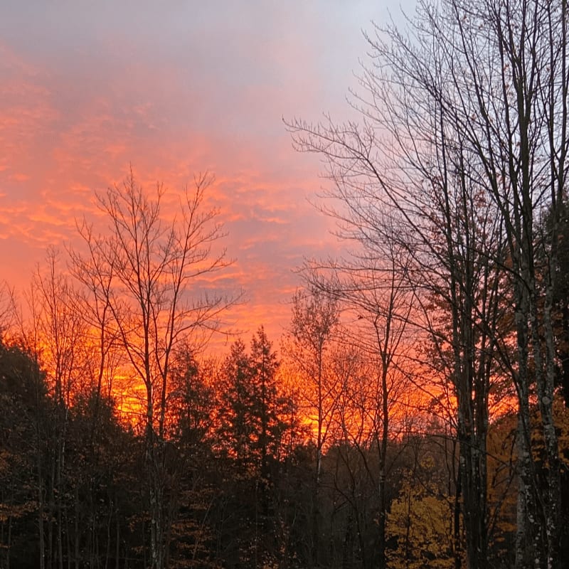Bare trees in the foreground frame a vibrant orange and pink sunset sky.
