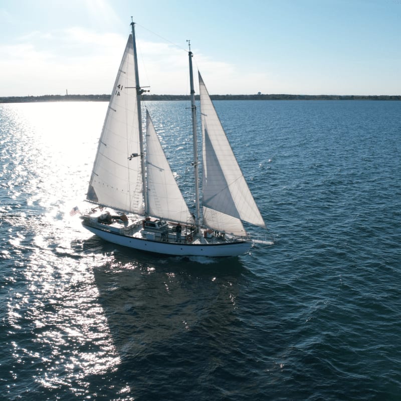 A white sailboat with full sails glides across a deep blue ocean under a bright sky, with a distant shoreline visible on the horizon.