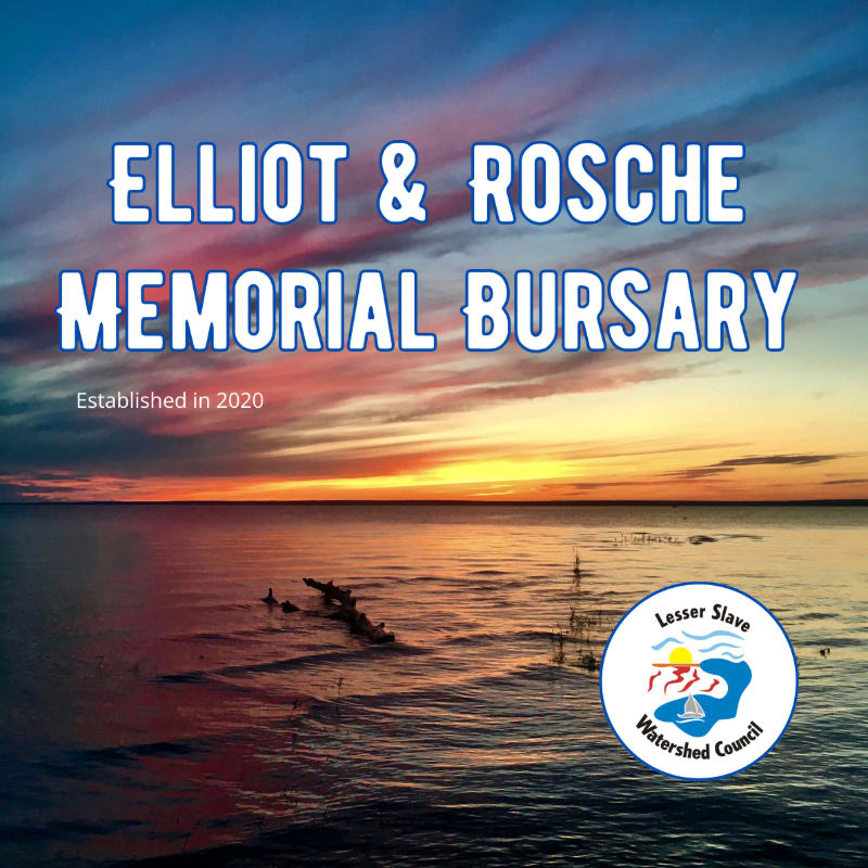 A serene sunset over calm water with a shipwreck in the foreground and text overlaying the sky.