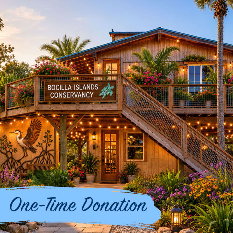 A charming wooden building with a balcony adorned with flowers and string lights stands against a backdrop of palm trees and a sunset sky, with a blue banner in the foreground reading "One-Time Donation."