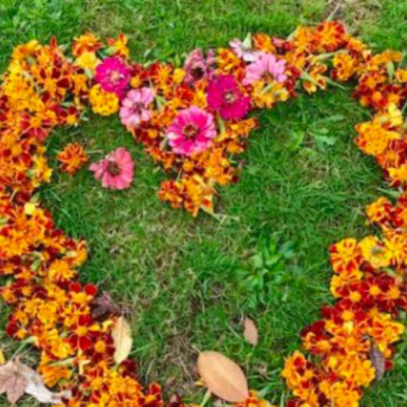 A heart-shaped arrangement of vibrant orange and pink flowers rests on a lush green lawn.