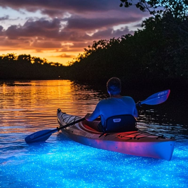 A person kayaks through bioluminescent water with a colorful sunset sky and silhouetted trees in the background.