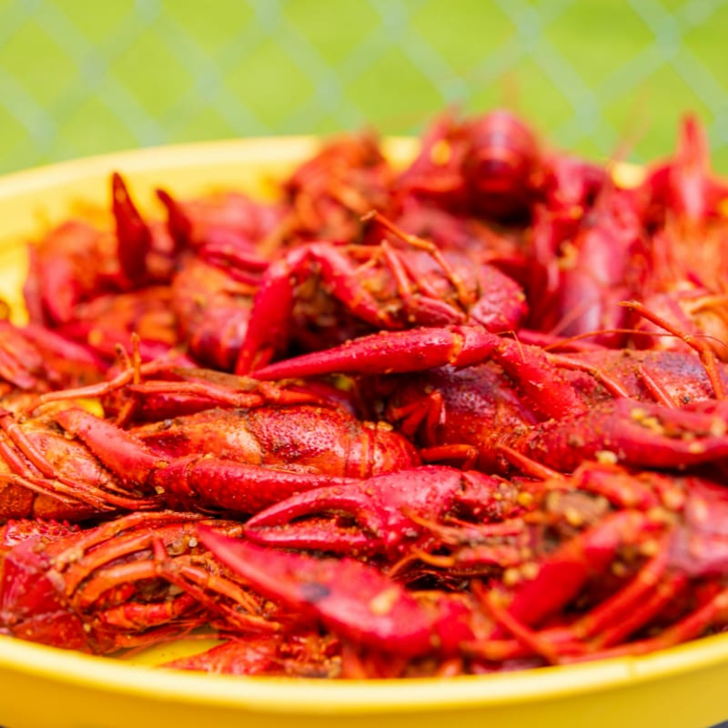 A yellow bowl full of cooked red crawfish.