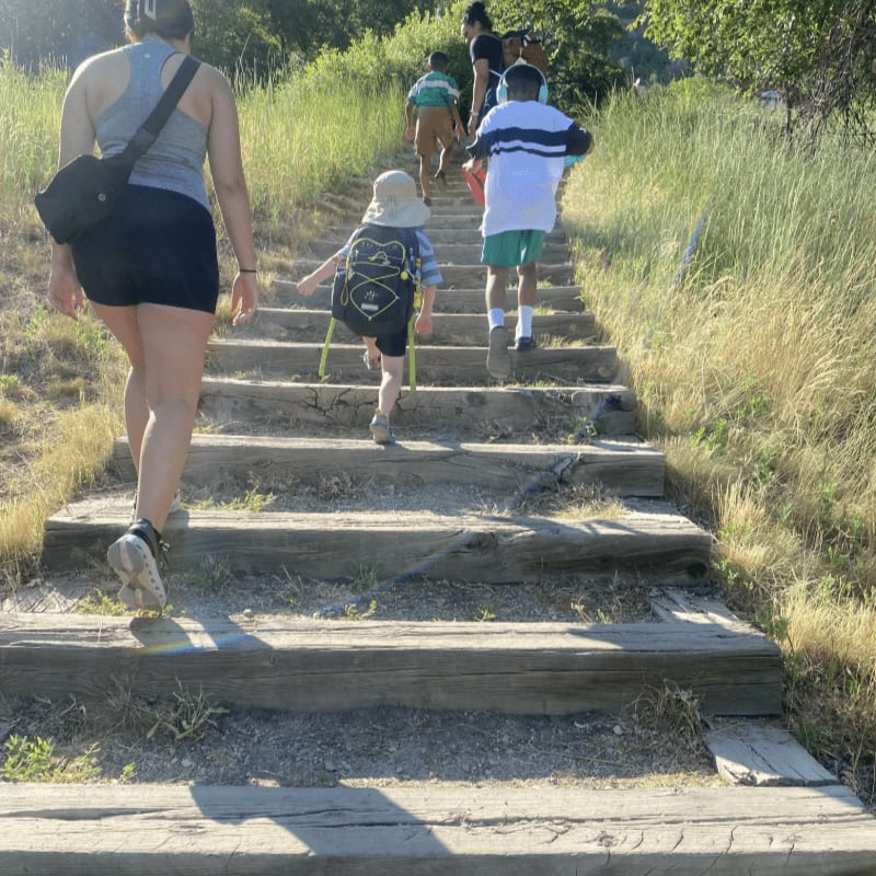 A group of people, including children, ascend a wooden staircase through dry grass and trees.