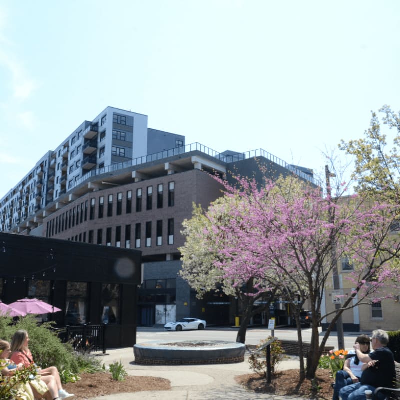 People relax in a park with a blooming tree in the foreground, while a modern apartment building and parking garage dominate the background.