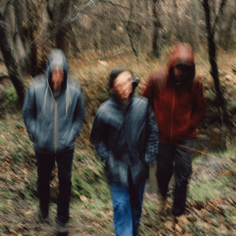 Three figures in hooded jackets walk through a blurred, wooded area with fallen leaves on the ground.