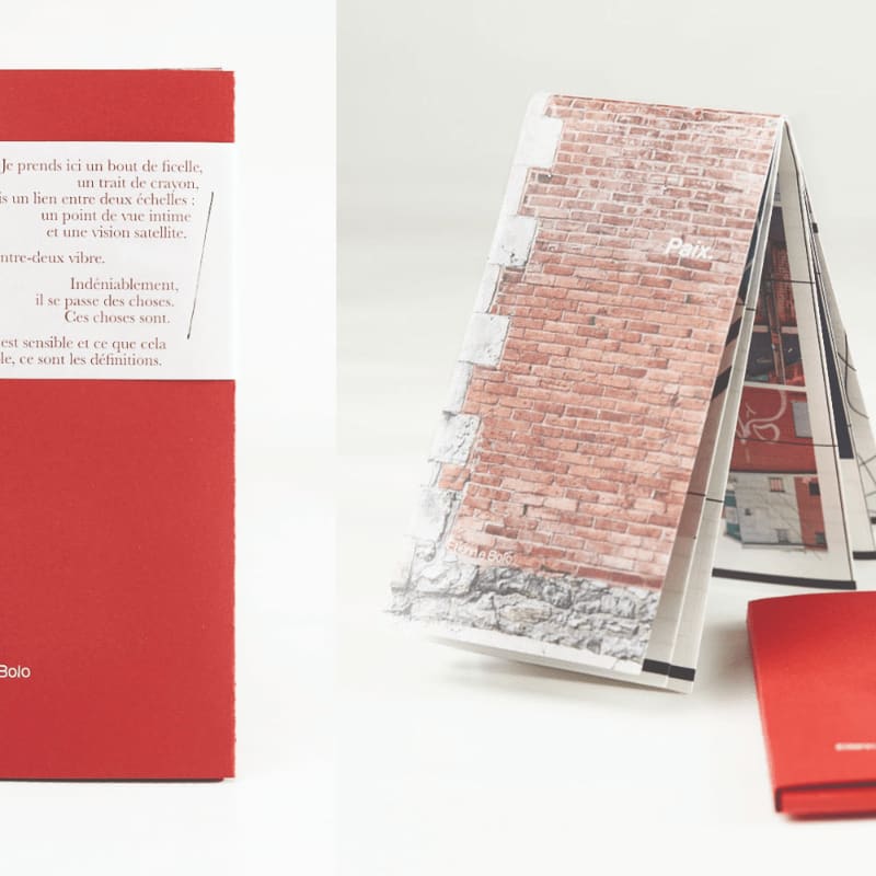 A red book with text is on the left, while an open book with a brick wall design and a smaller red book are on the right.