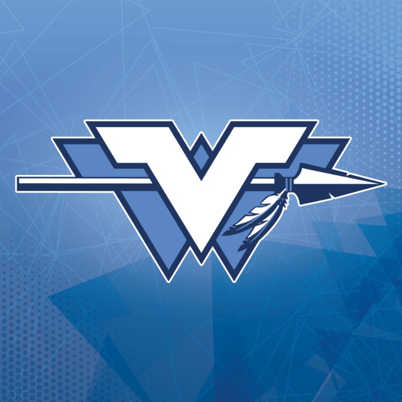 A white and blue "V" logo with an arrowhead and feathers is superimposed on a geometric blue background.