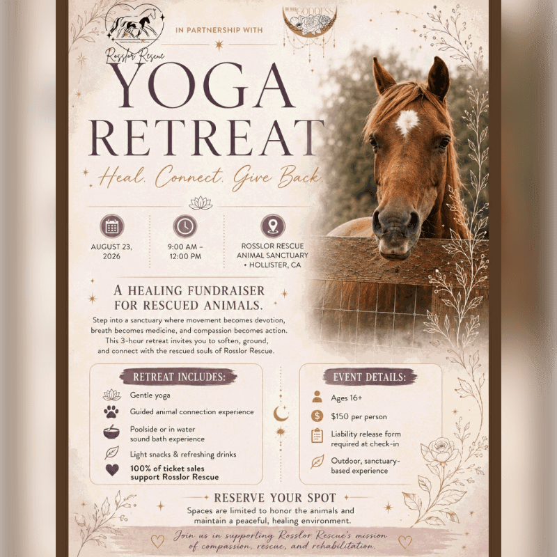 A horse peeks over a fence in the background of a flyer for a yoga retreat fundraiser for rescued animals.
