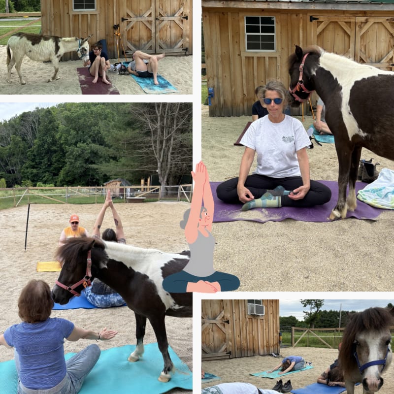 Miniature horses join people practicing yoga on mats in a sandy enclosure with a wooden barn in the background.
