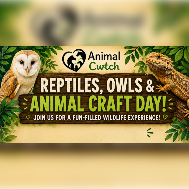 A barn owl and a bearded dragon are featured in the foreground of a banner advertising "Reptiles, Owls & Animal Craft Day!" with a blurred green background.