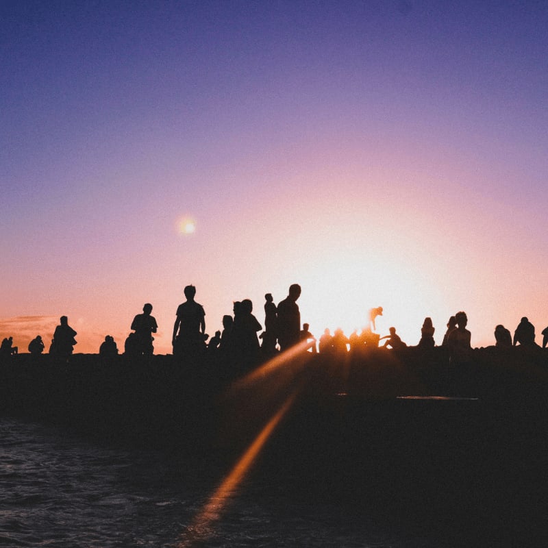 silhouette of group of person under clear skies