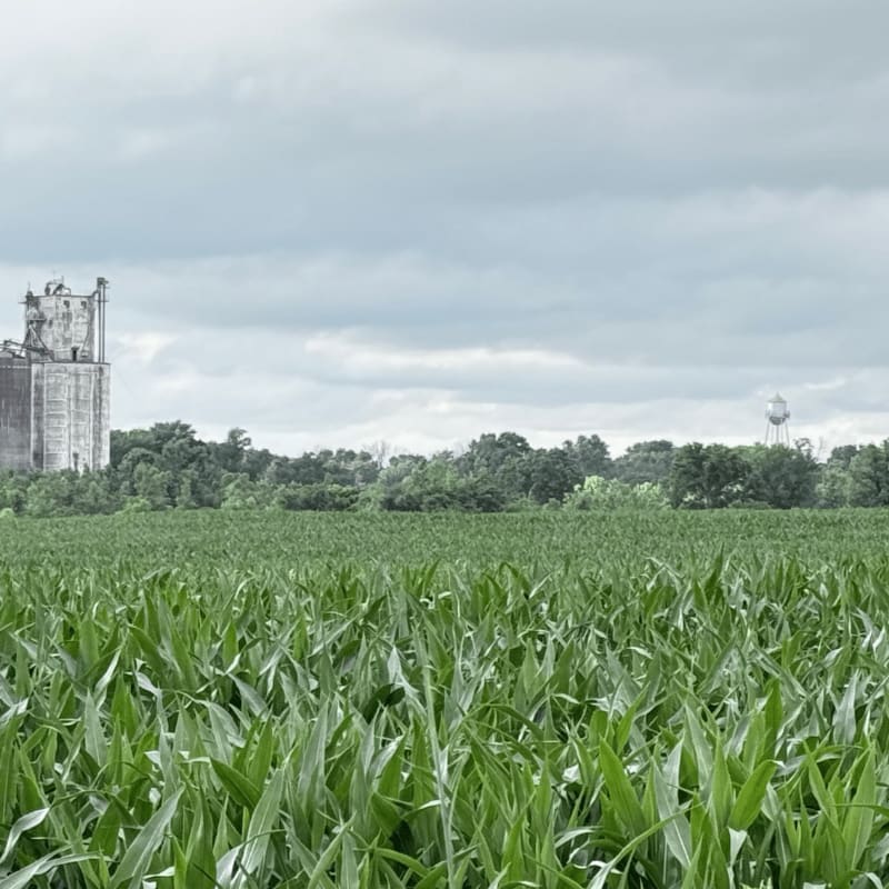 A lush green cornfield stretches towards a distant treeline, where an old grain elevator and a water tower stand under a cloudy sky.