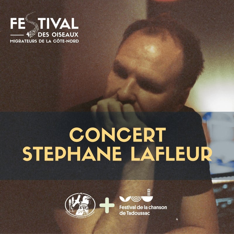 A man plays a harmonica in the foreground, with festival branding and concert details in the background.