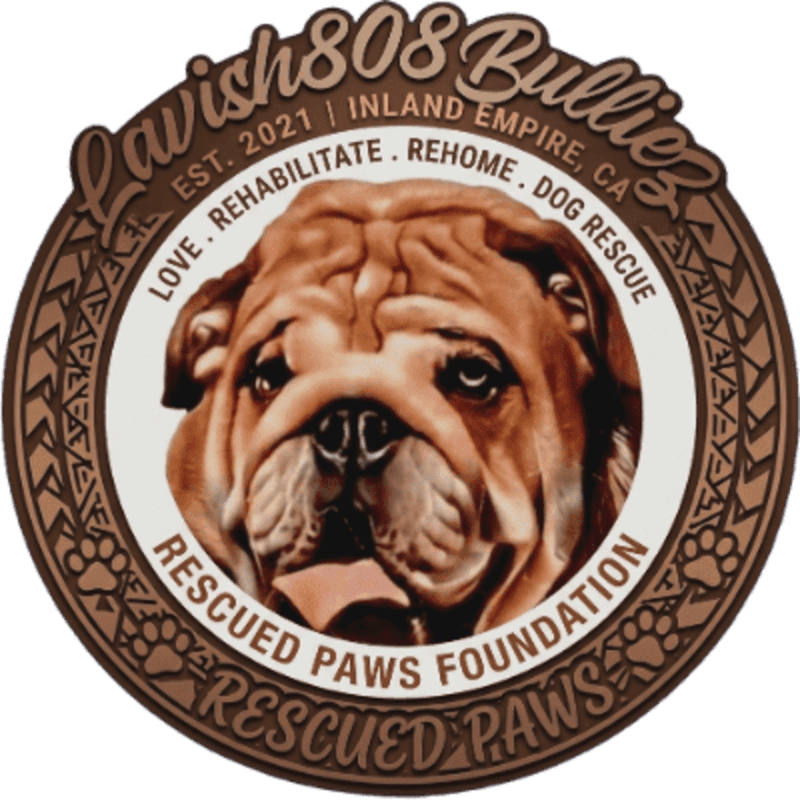 A close-up of a bulldog's face with its tongue out is framed by a circular logo that reads "Lavish808 Bullies" and "Rescued Paws Foundation" with details about its establishment and mission.
