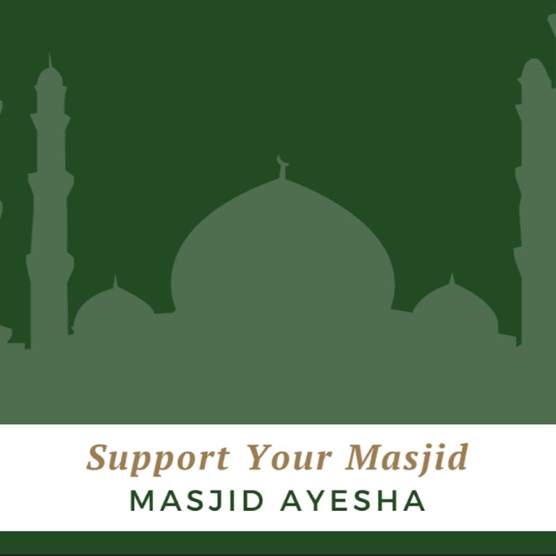 Silhouetted mosque domes and minarets fill the green background, with the text "Support Your Masjid MASJID AYESHA" in the foreground.