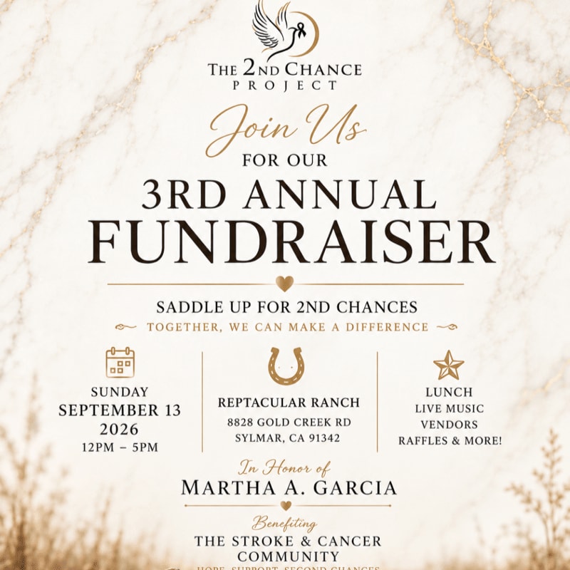 A golden, marble-patterned background with wheat stalks in the foreground announces "The 2nd Chance Project's" 3rd Annual Fundraiser for the Stroke & Cancer Community.